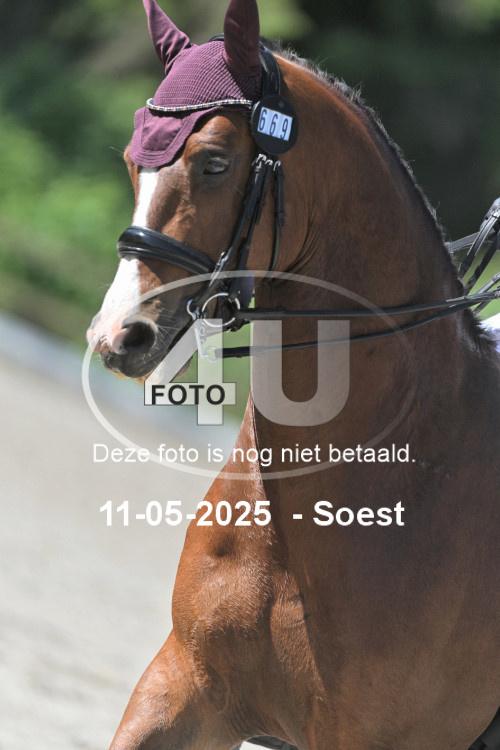 250511 1374