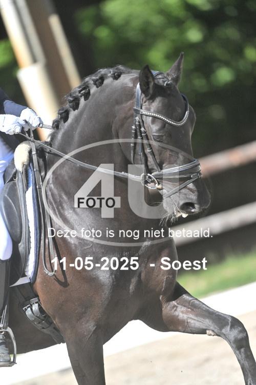 250511 1531