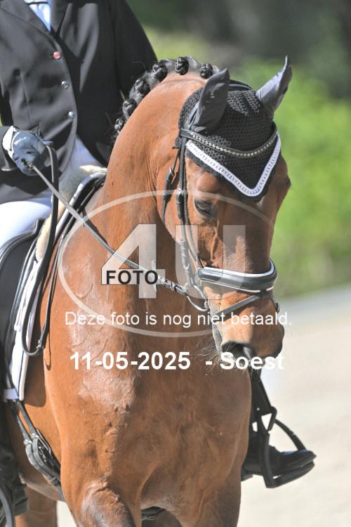 250511 1746