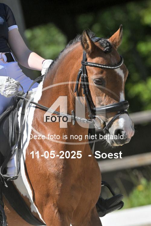 250511 2242