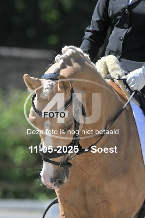 250511 2361