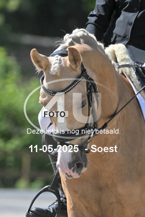 250511 2362