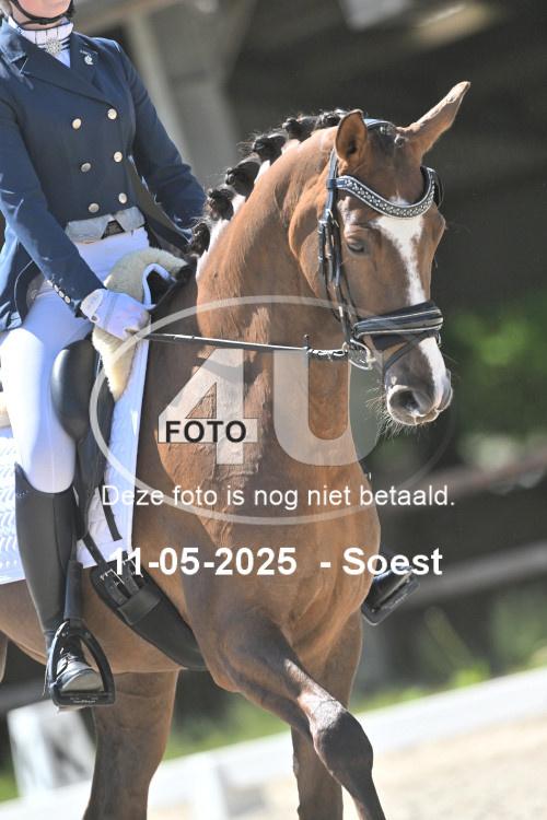 250511 3493