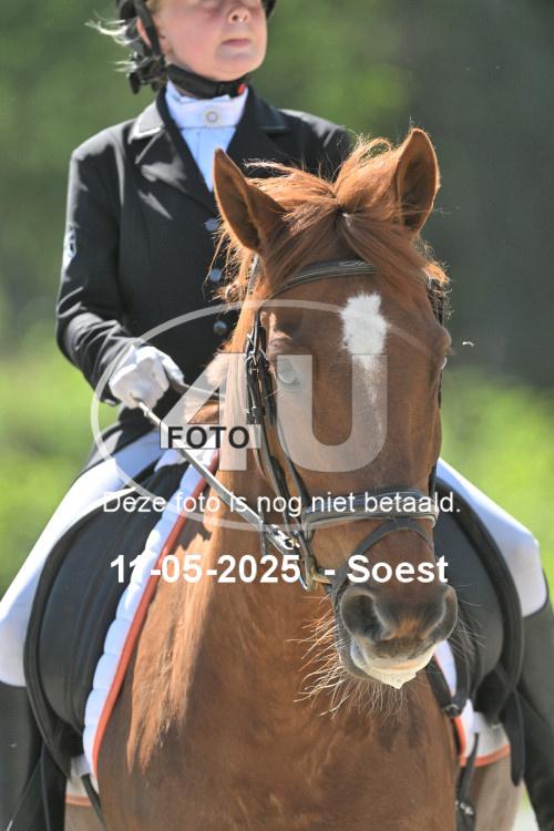 250511 3650