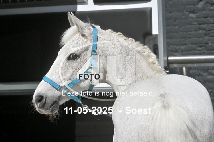 250511 3685