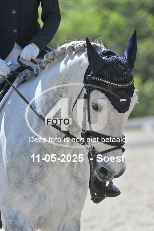 250511 3690