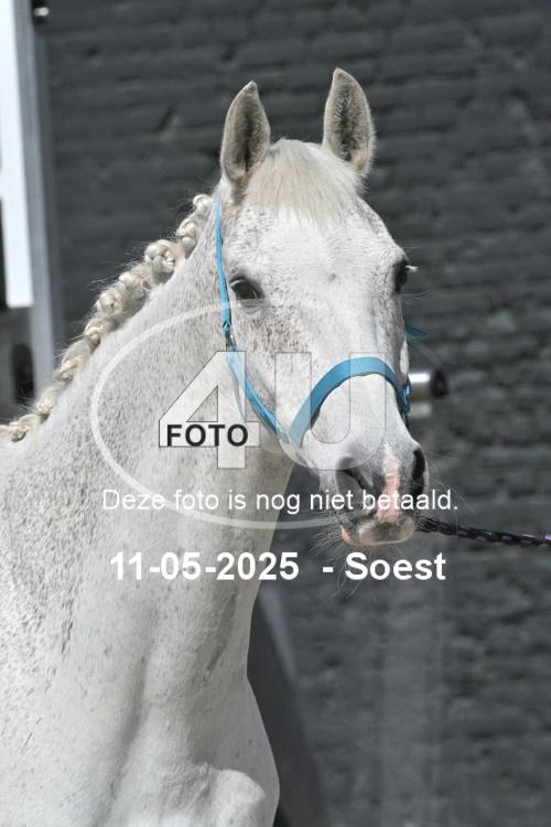 250511 3693