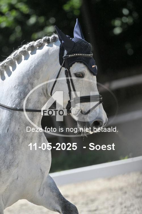 250511 3702