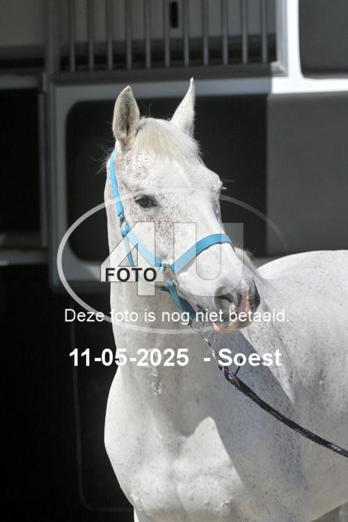 250511 3784