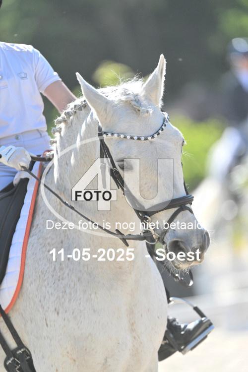 250511 4260