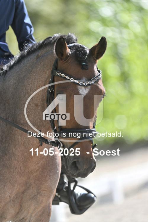 250511 4424