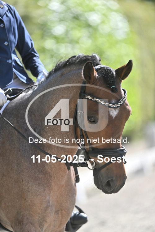 250511 4425