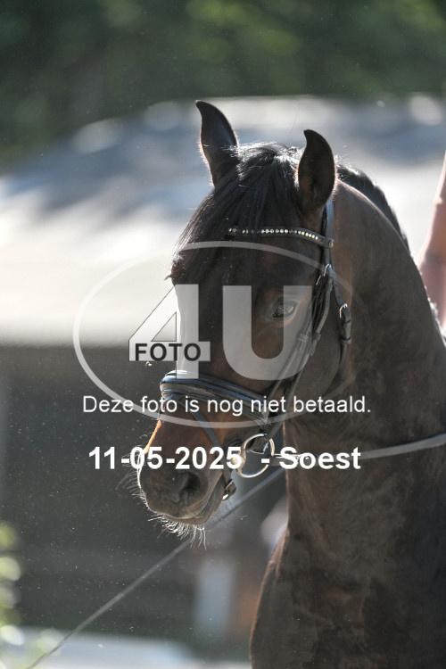 250511 4591