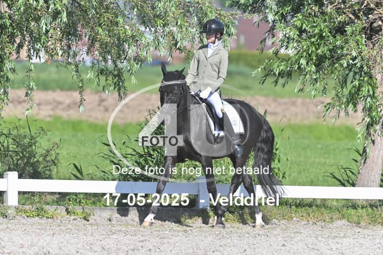 250517 0341