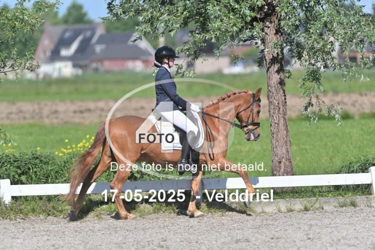 250517 0398