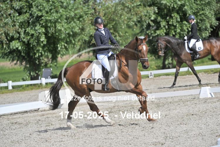 250517 0803