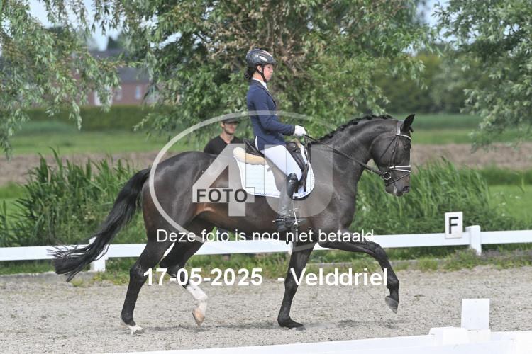 250517 1241