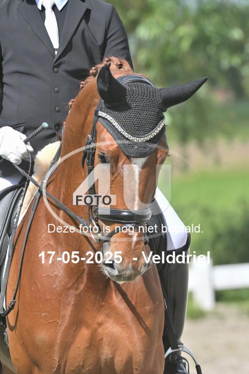250517 1431