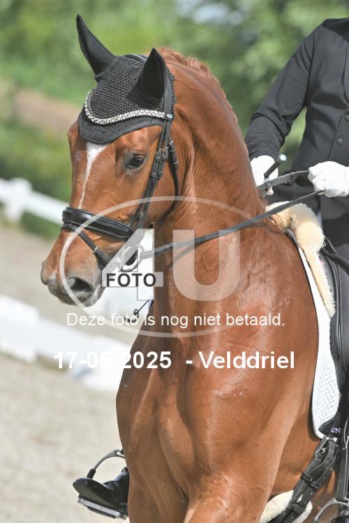 250517 1436