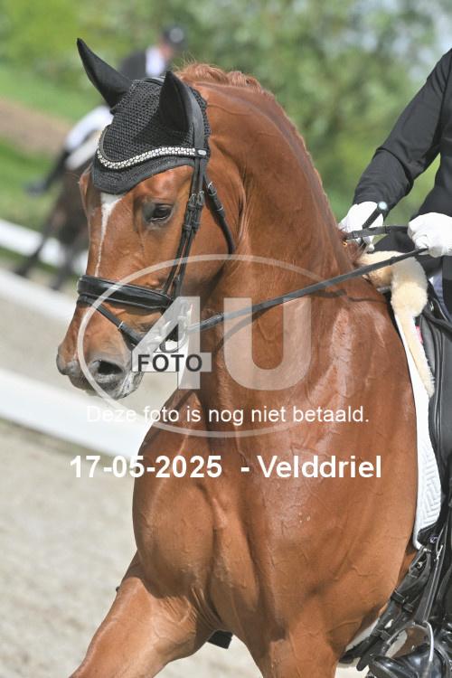 250517 1437