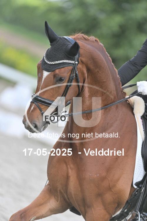 250517 1475