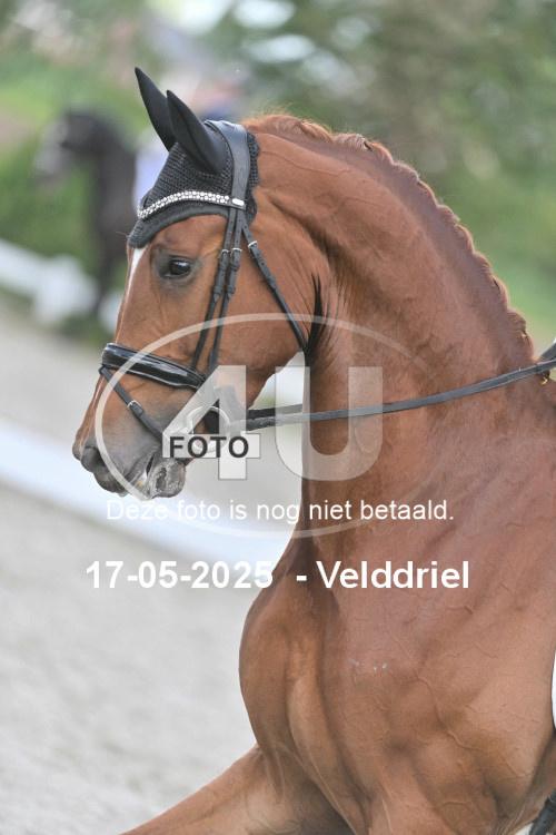 250517 1478