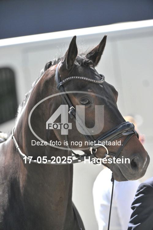 250517 4036