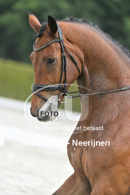 250518 0631