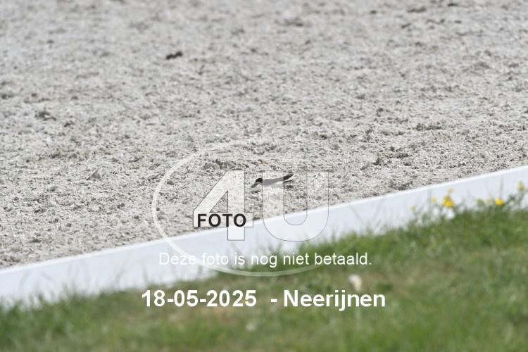250518 0982