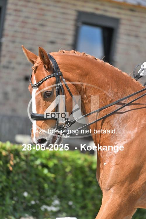 250528 0113