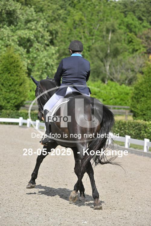 250528 0160
