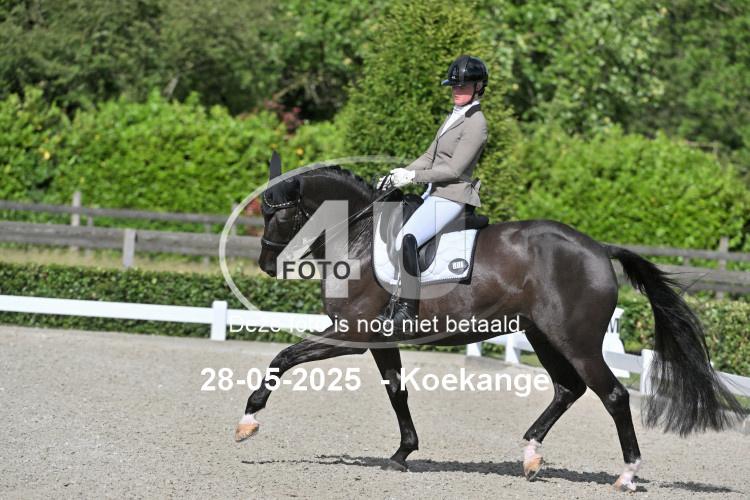 250528 0421