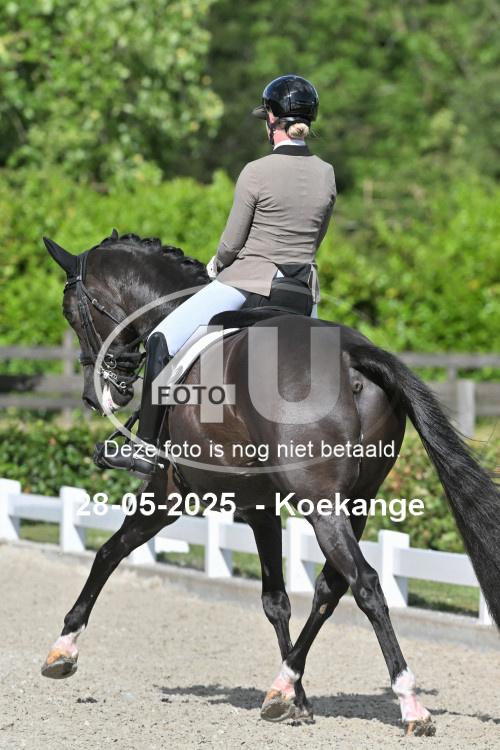 250528 0423