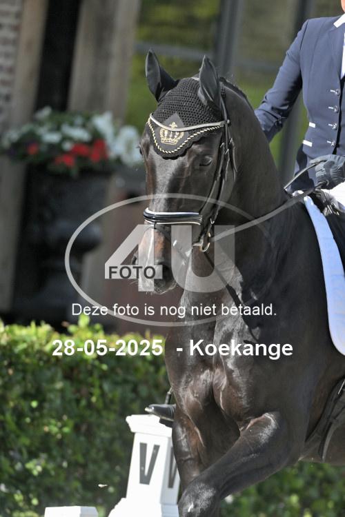 250528 0672