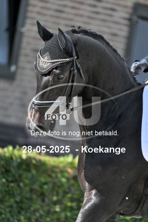 250528 0701