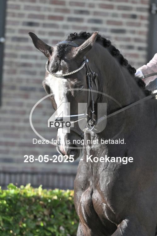 250528 0920