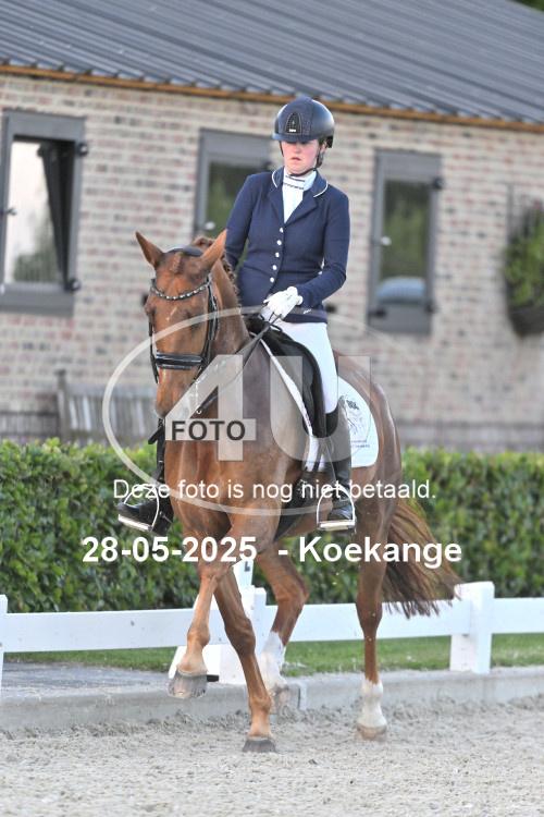 250528 0994