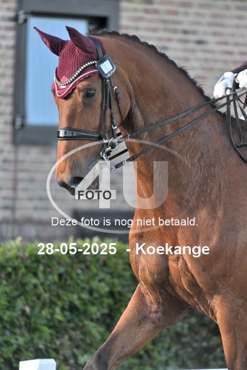 250528 1124