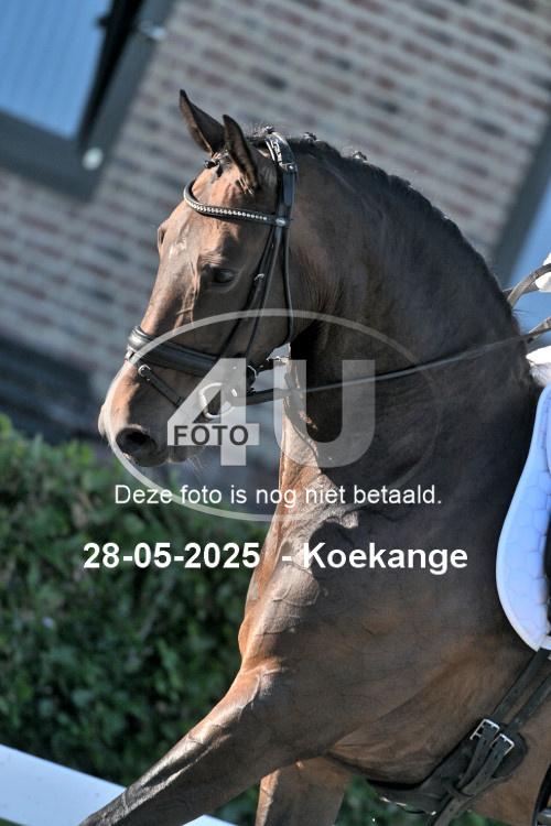 250528 1211