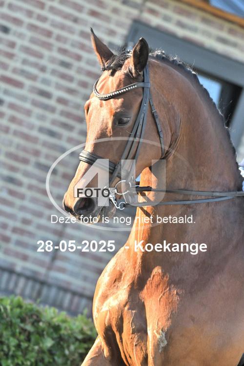 250528 1234