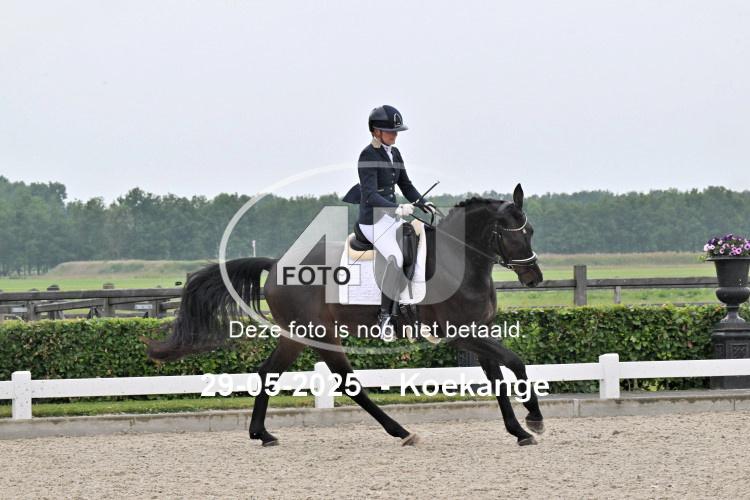250529 0491