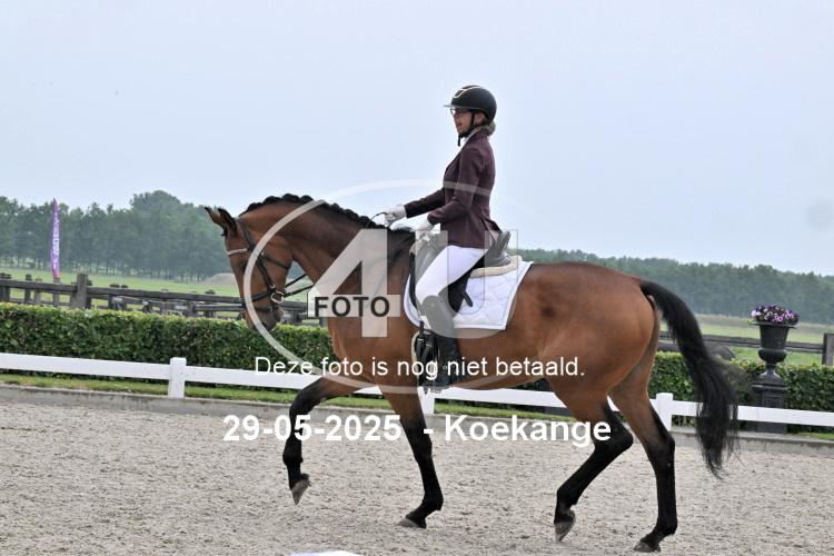 250529 0524