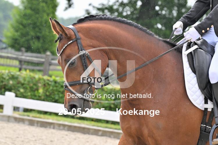250529 0578