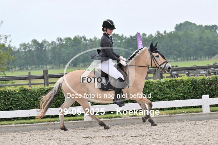 250529 0684