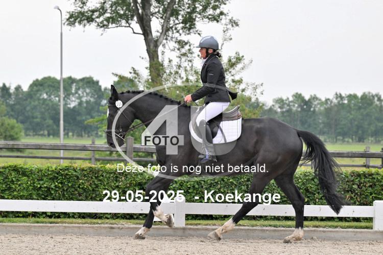 250529 0727