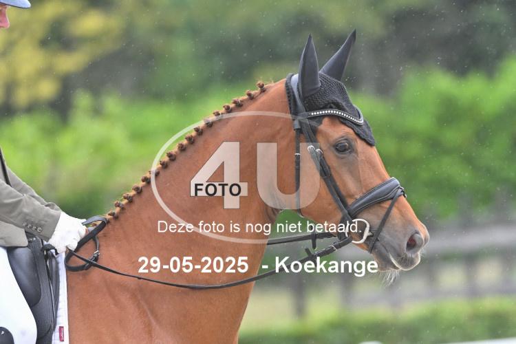 250529 0740