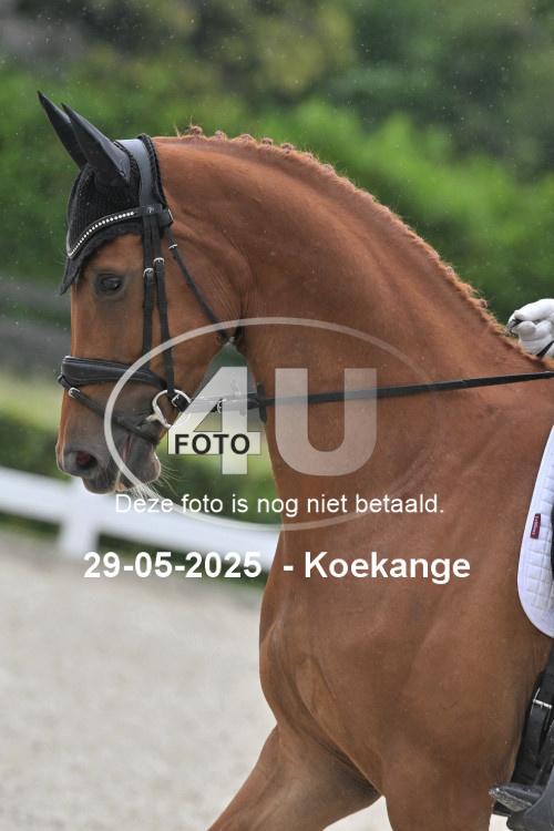 250529 0743