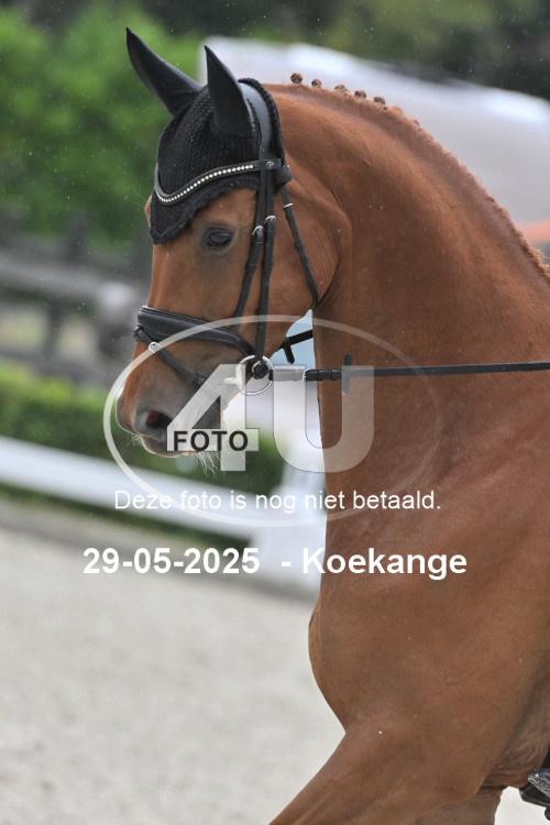 250529 0744