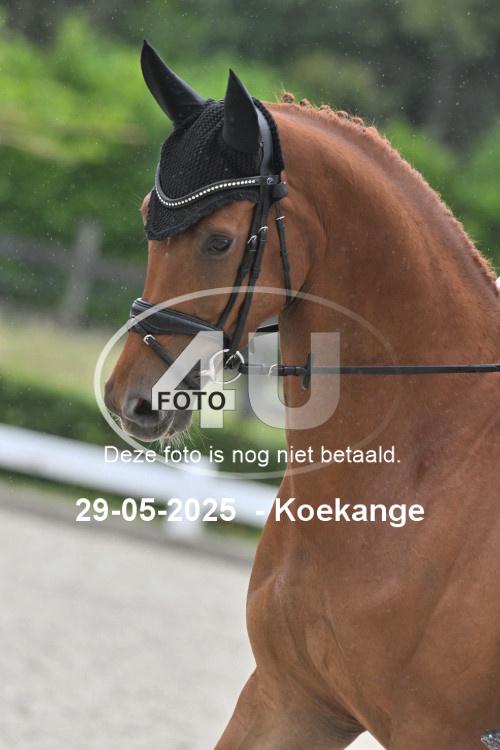 250529 0745