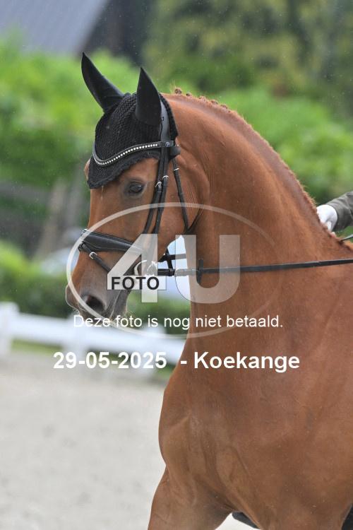 250529 0747